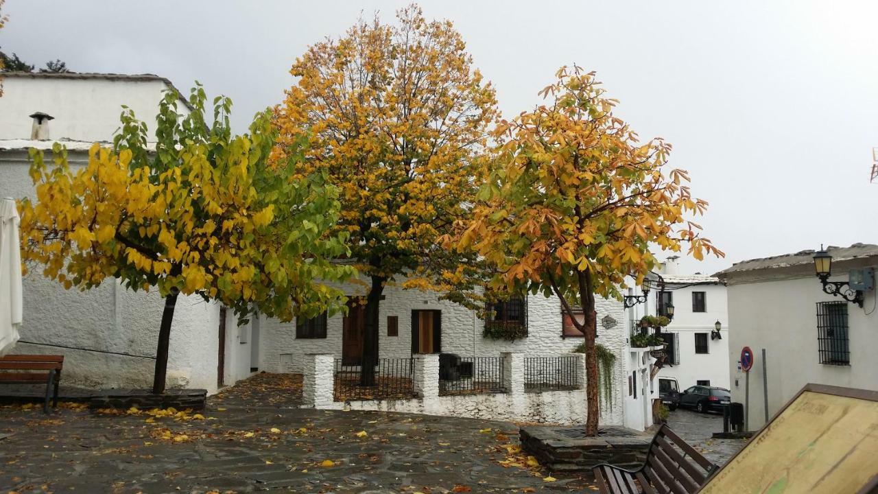 Casa Nicolasa 卡皮雷拉 外观 照片